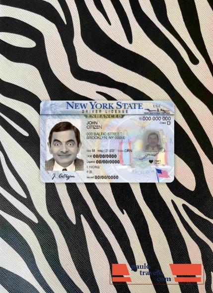 USA New York DL photolook FRONT PSD template